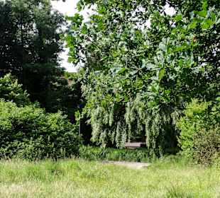 Spaziergang durch den Stadtpark