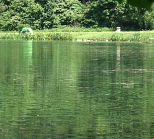 Wiesaztal Gönningen