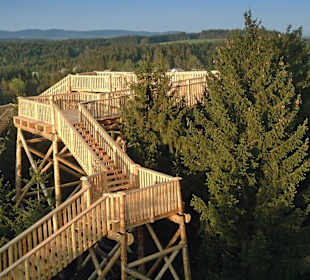 Baumkronenweg Kopfing