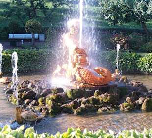 Samson Brunnen Parkanlage Peterhof