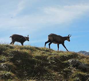 Wandern St. Jakob im Defereggental