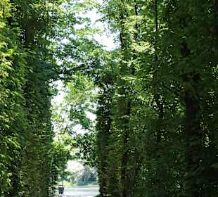 Pałac i ogród w Wilanowie