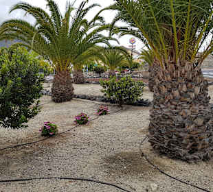 Stadtrundgang Costa Adeje