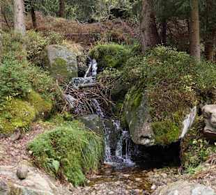 Riesengebirge/Karkonosze