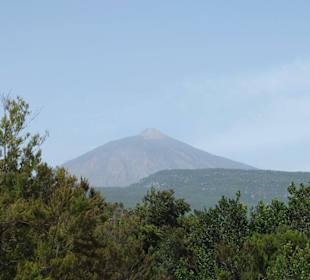 Teide im Blick