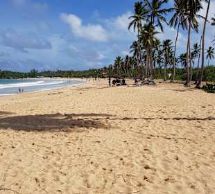 Macao Beach, etwa 15 min. mit dem Taxi