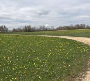 Vulkankrater-Rundweg Apfelstetten