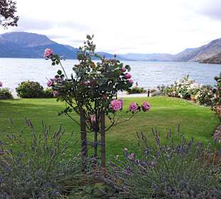 NOWA ZELANDIA QUEENSTOWN