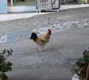 Stadtrundgang Marmari