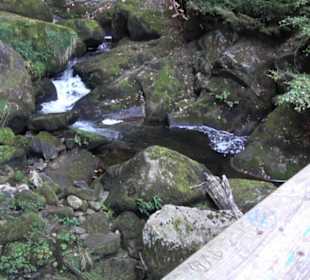 Triberger Wasserfälle