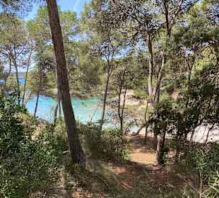 Küstenwanderung Cala Mondrago