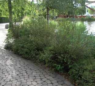 Erlebnispark Tripsdrill