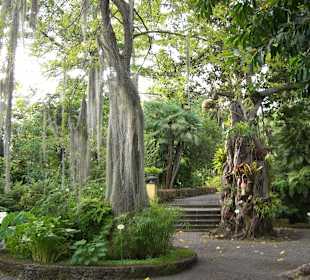 Jardín Botanico