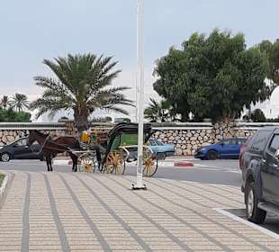 Stadtrundgang Monastir