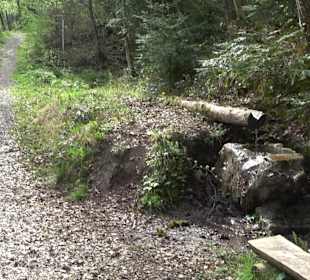 Walderlebnisweg Rottenburg