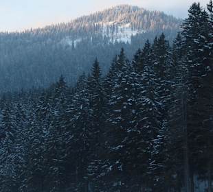 Blick auf den Großen Arber