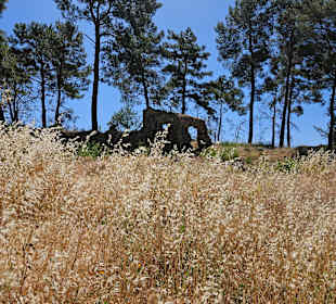Wandern Side - Gündogdu