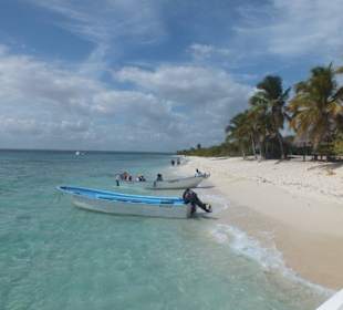 Ausflug zur Insel Catalina