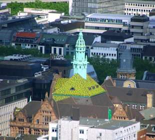 Vom Rheinturm runter verschiedene Fenster