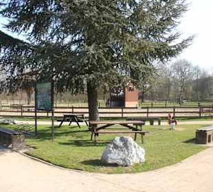 Streichelzoo im Frreizeitpark