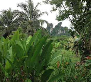 Aussicht vom Restaurant aus