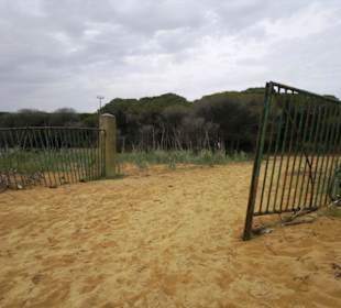 Strand Bibione 06_2011