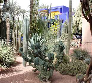 Jardin Majorelle