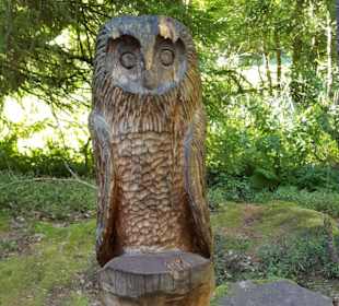 Waldklettergarten Atreenalin Dornstetten-Hallwange