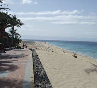 Der Strand einfach Super