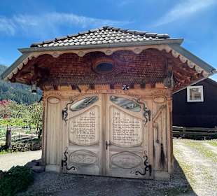 Wandern Bannwald Baiersbronn