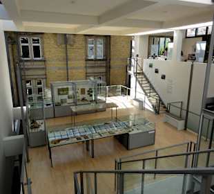 Sonderausstellungsfläche