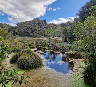 Waimangu Volcanic Valley