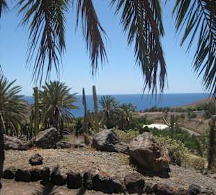 Blick vom Pflanzengarten auf den Atlantik