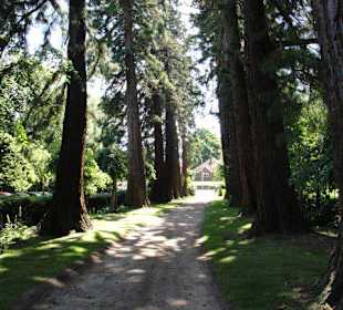 Droga dojazdowa do palacu.