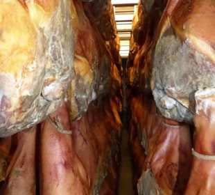 Ruheraum für Tausende von Schinken