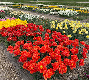 Floratuin Julianadorp