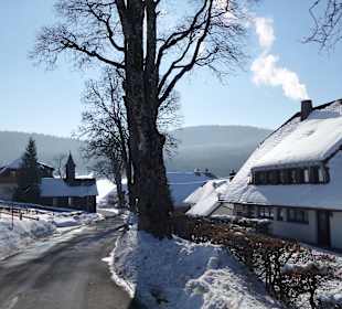 Dorf Herrenschwand, hat nur das Restaurant Waldfrieden