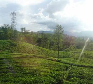 Hochland von Sri Lanka