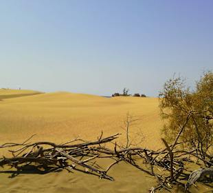 Die Duenen von Maspalomas