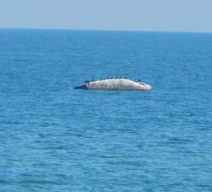 Findling in der Ostsee