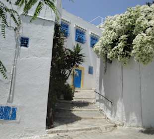 Ausflug Sidi Bou Said