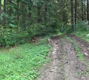 Premiumwanderweg "hochgehackert"