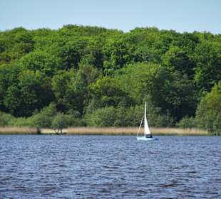 Rundgang um den Bederkesaer See