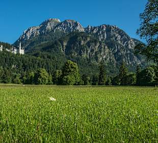 Wandern Murnau am Staffelsee