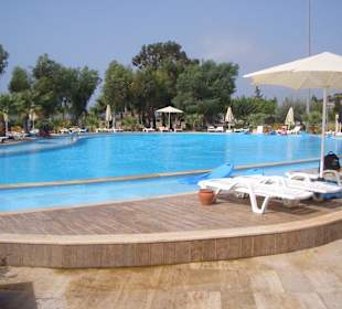 Der Aquapark Pool war spitze...10 Minuten Gehweg