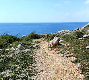 Nationalpark Kap Greco