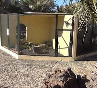 Guinitate Tropical Park