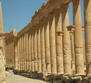 Palmyra