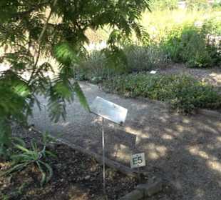 Botanischer Garten München