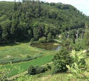 Burgruine Niederhaus